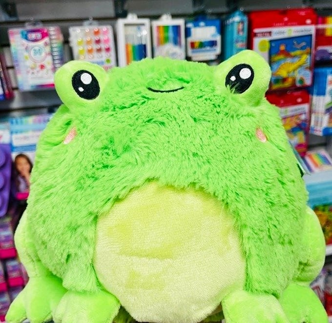 Meet your new best friend! This adorable frog plush is so huggable, you'll forget it's not actually Wednesday, my dudes.