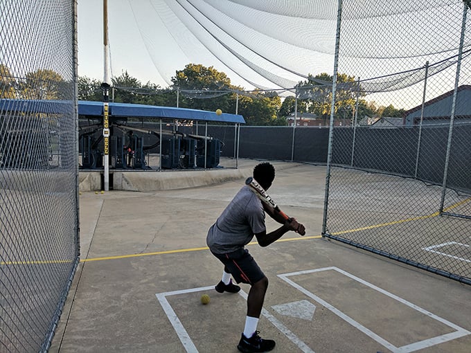 "Batter up... if you dare! This batting cage might just pitch you a curveball – or a rubber snake. Either way, you're in for a swinging good time!"