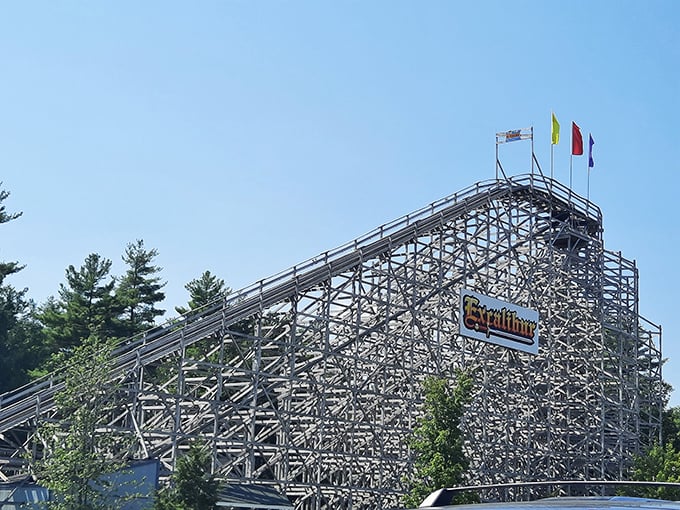 Excalibur stands tall and proud, daring visitors to test their mettle. It's like a medieval joust, but with more screaming and less armor.