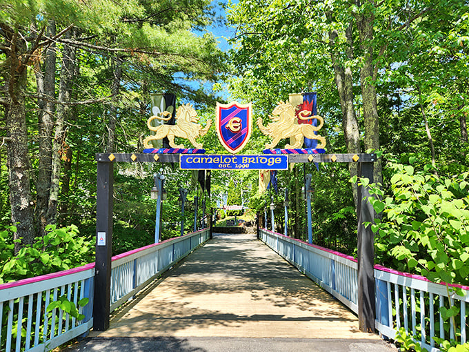 Camelot Bridge: your gateway to adventure, or at least to the part of the park where you left your sunscreen.