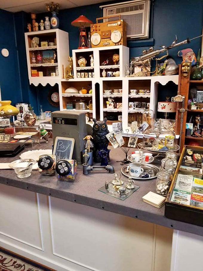 Grandma's china cabinet meets Aladdin's cave of wonders. Who knew a blue owl could look so at home among delicate teacups?