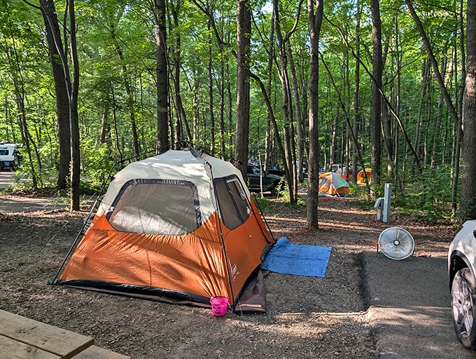 Glamping, Holly-style! Who needs five-star hotels when you've got a five-billion-star sky and s'mores on demand?