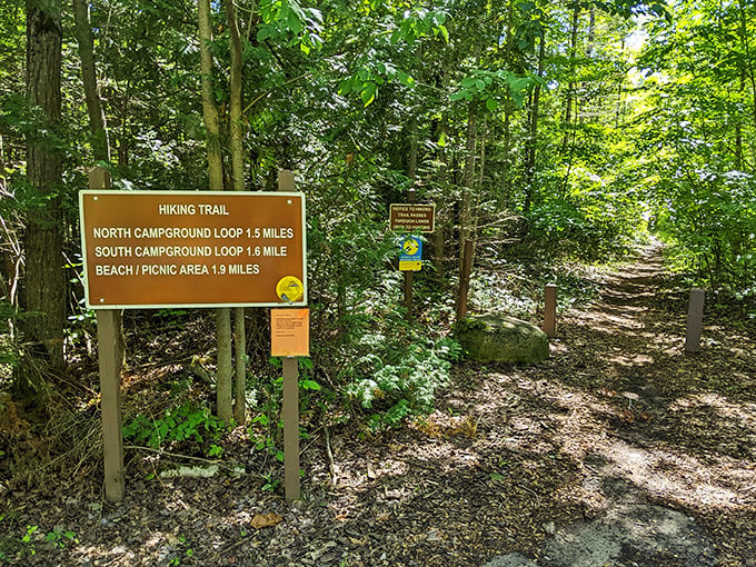 Choose your own adventure! This trail sign is like a real-life game of Oregon Trail, minus the dysentery.