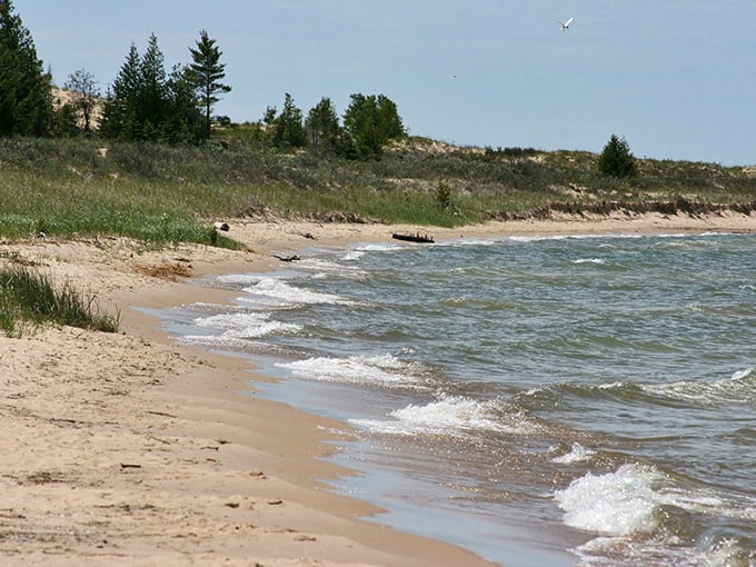 Nature's own washing machine – these waves are doing a number on those pebbles. Talk about a rock-tumbler on steroids!