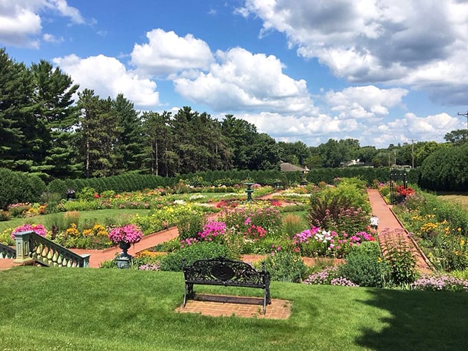 Nature's color wheel on full display! If Picasso and Mother Nature collaborated, this vibrant vista would be their masterpiece.