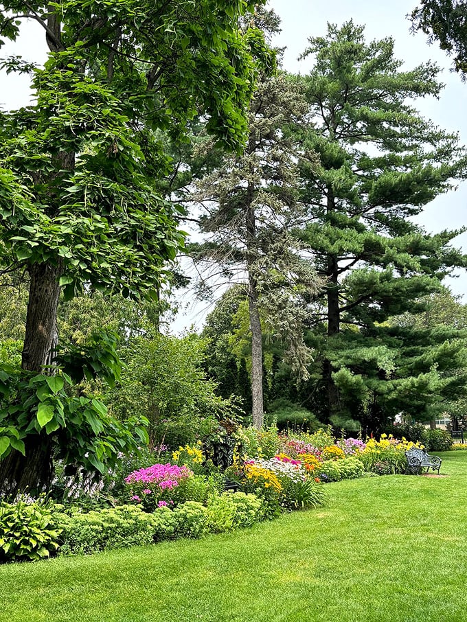 Nature's own Tetris game! These layered plantings create a living, breathing puzzle that's always changing.