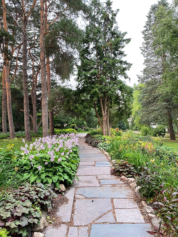 Stroll down nature's red carpet! This path invites you to be the star of your own garden party.