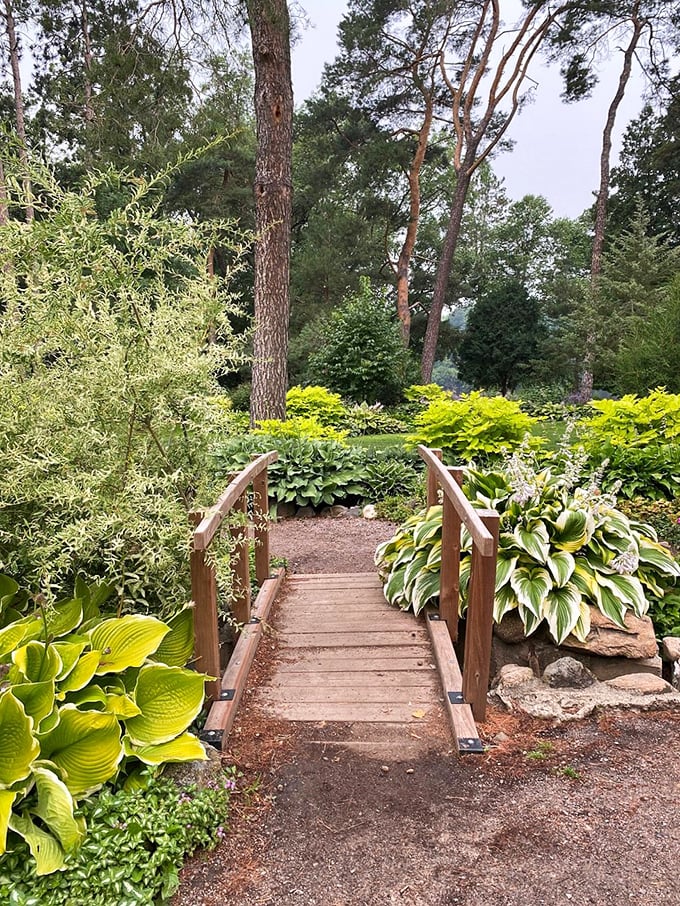 Bridge over untroubled water! This wooden walkway invites you to cross into a world where stress doesn't exist.