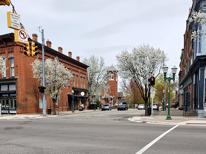 Spring has sprung on Main Street! Blossoming trees line the sidewalks, creating a picturesque scene straight out of a Hallmark movie.