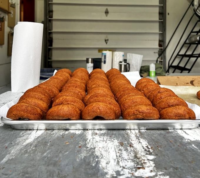 Golden-brown perfection! These cider donuts are the rings of power in the Lord of the Rings of breakfast treats.