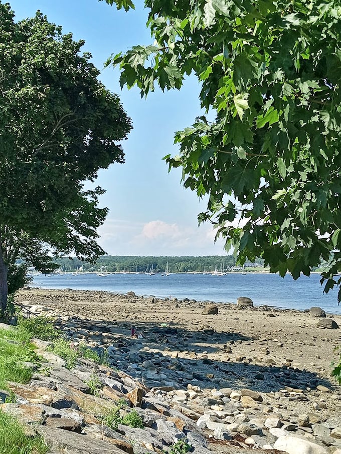 Where rocky shores meet tranquil waters, Belfast City Park offers nature's version of meditation – complete with sailboats as bonus entertainment. Photo credit: Rob Martin