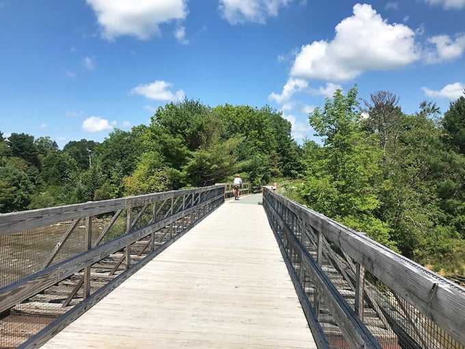 This isn't just any bridge – it's Belfast's invitation to slow down and enjoy the view. The Rail Trail welcomes cyclists and daydreamers alike. Photo credit: Jennifer Saylor