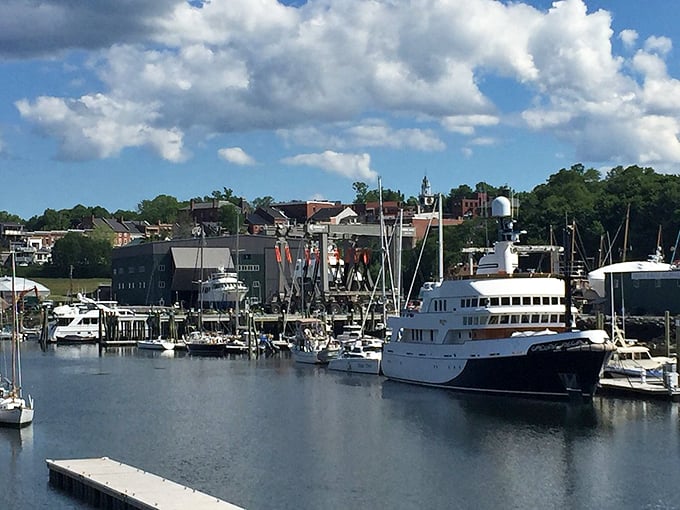 Where working boats and pleasure craft share the same dance floor, Belfast Harbor orchestrates a perfect maritime ballet. Photo credit: @chichiSouthCarolina