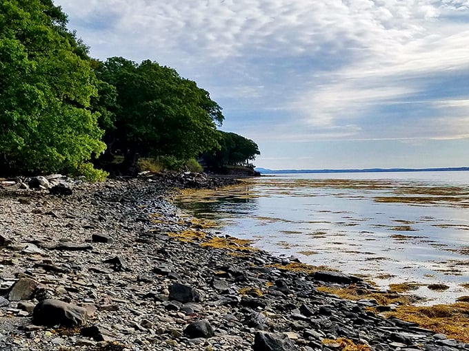 Nature's rock collection meets the Atlantic in a timeless display of Maine's rugged coastal beauty. Photo credit: @litraveler2015