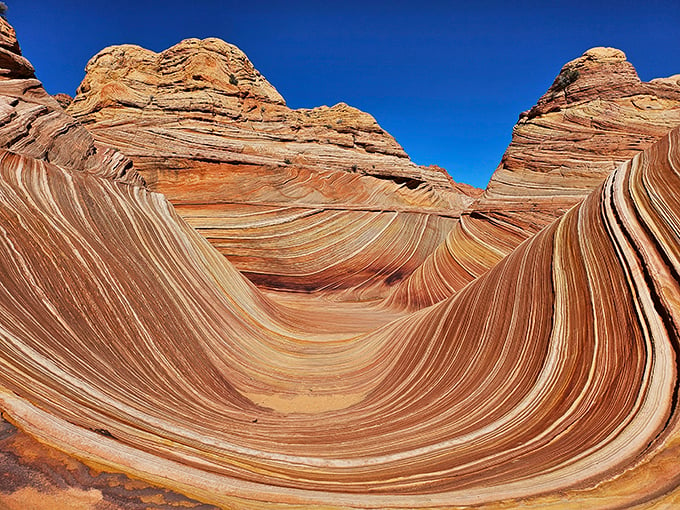 Undulating sandstone waves frozen in time. You'll half expect to see the Road Runner zipping by!