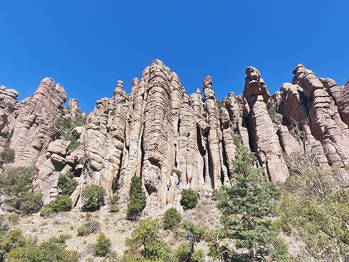 Welcome to nature's Jenga game! These balancing acts will have you scratching your head and reaching for your camera.