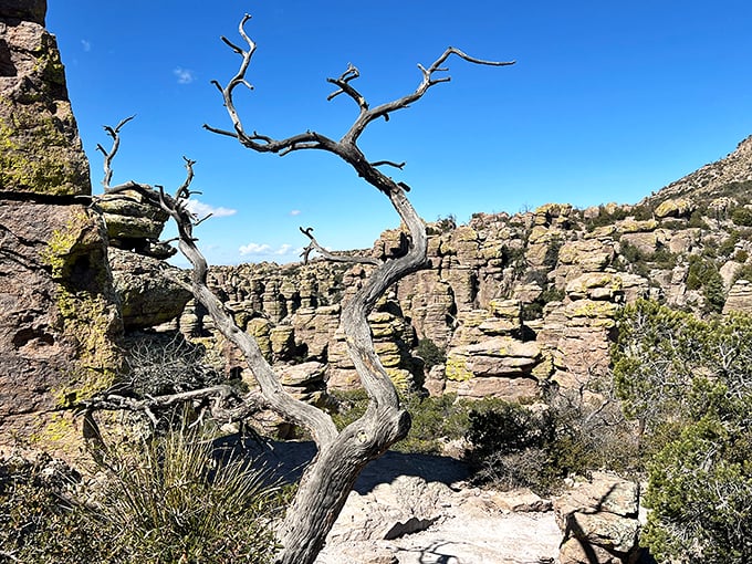 Rock formations that look like they were designed by Dr. Seuss. Whimsical, wonderful, and slightly mind-bending!