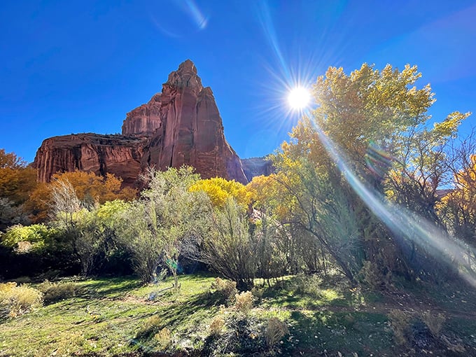 Ancient high-rises with million-year views. These cliff dwellings will have you pondering the merits of extreme real estate.