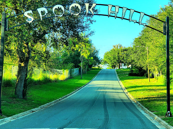 Gravity takes a holiday! Watch your car defy physics on this mysterious Florida hillside.