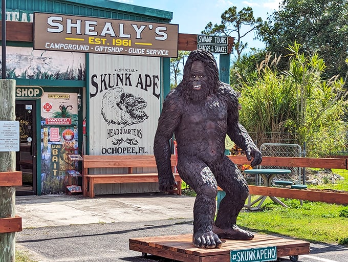 Bigfoot's smelly cousin has a fan club! Dive into Florida's quirkiest cryptozoology corner.