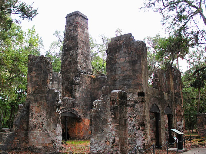 Time-traveling without a DeLorean! These haunting sugar mill ruins transport you to Florida's sweet and sour past. Indiana Jones would feel right at home exploring these moss-covered mysteries.