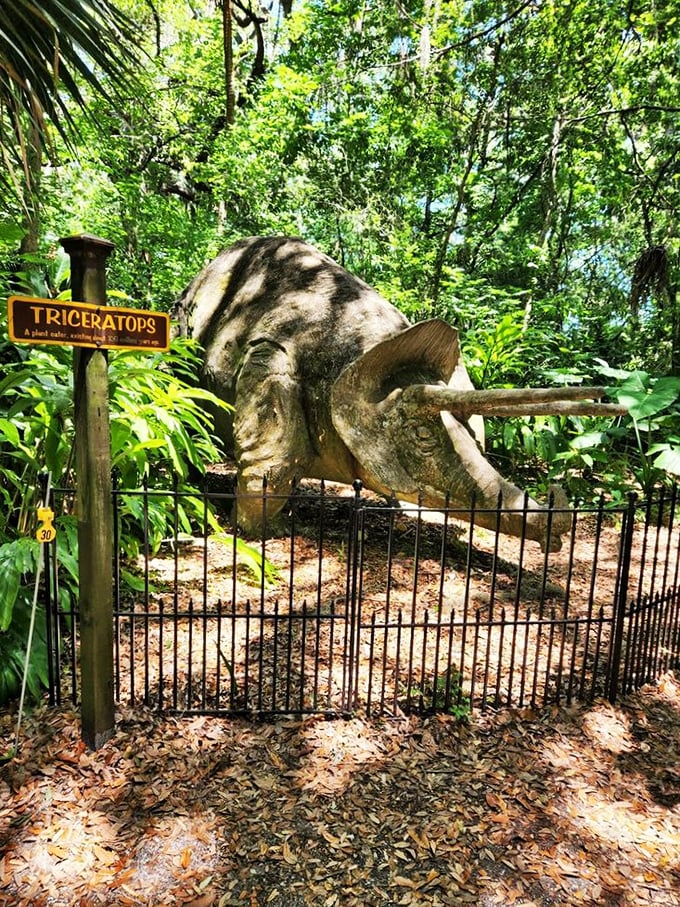 Jurassic Park meets Southern charm! This triceratops seems lost in time, much like my sense of direction in a mall. Who knew dinosaurs had a sweet tooth for sugar mill history?