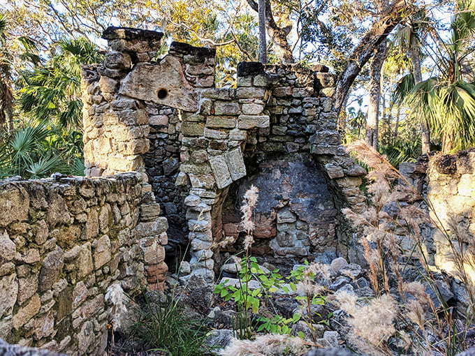 Spanish moss and sugar dreams! These ruins are like a time portal to the 1830s, minus the mosquitoes and questionable dental practices. History never looked so serene.