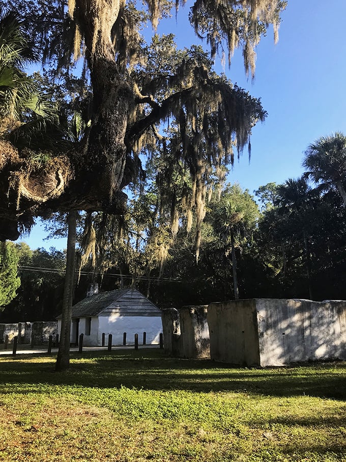 History's semicircle: These slave cabins tell a sobering tale. But in true Florida fashion, there's a plot twist that'll make you rethink everything you learned in history class.