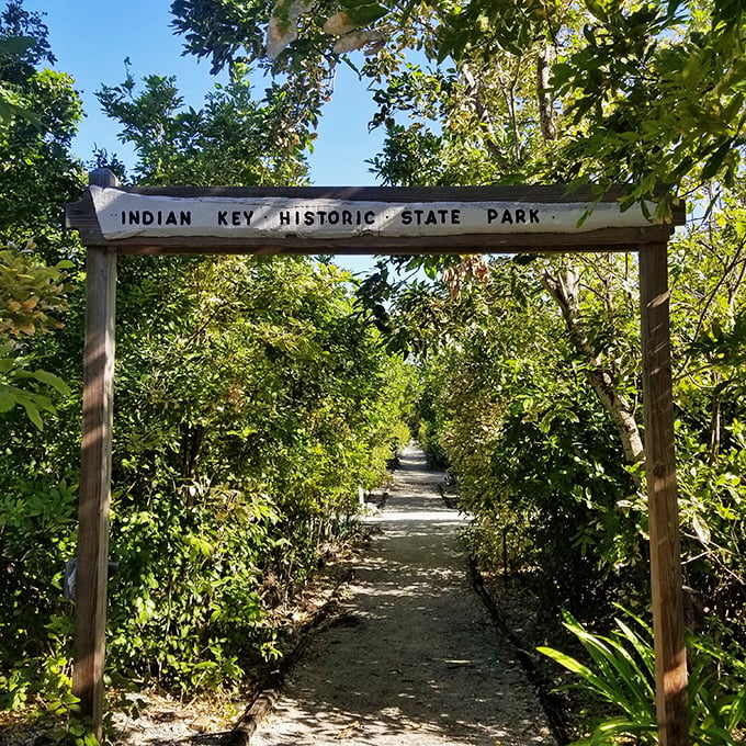 Shipwreck salvagers' paradise turned nature preserve. It's like a retirement community for seagulls, with better views and more interesting neighbors.