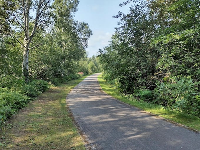 This trail's smoother than my attempts at small talk! A gentle path through nature that even my city slicker shoes can handle.