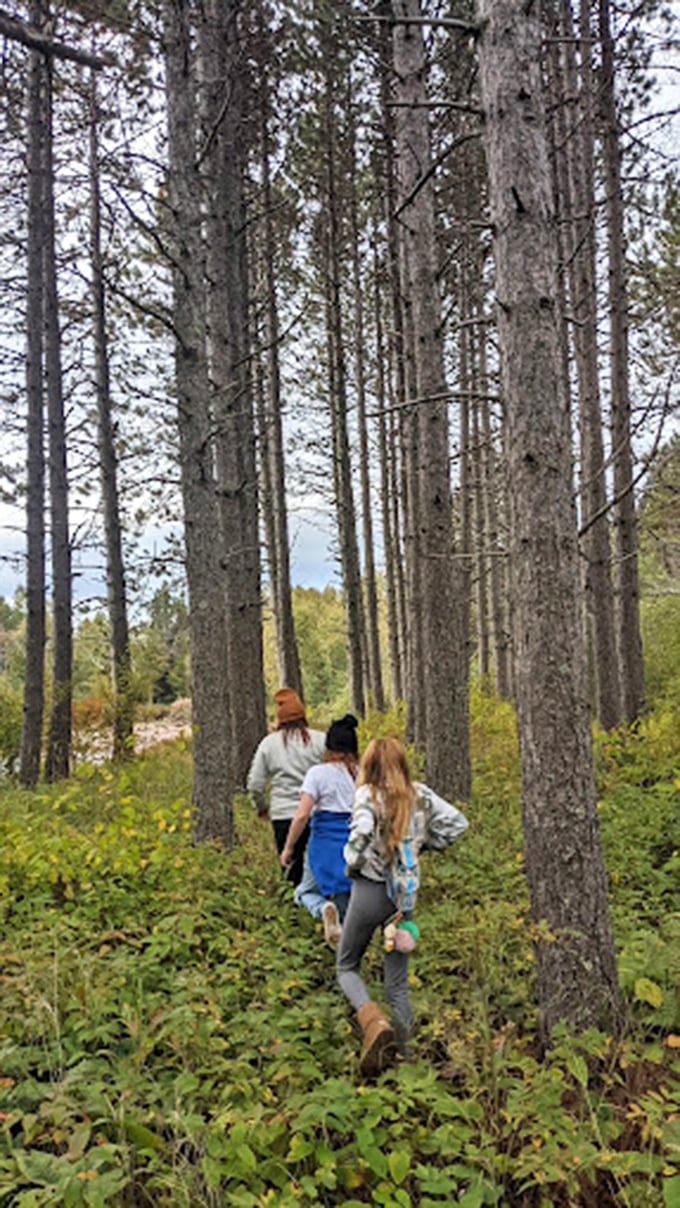 Family forest bathing: where "screen time" means admiring nature's leafy canopy. No Wi-Fi needed for this connection!