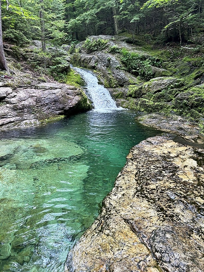 Emerald waters that'd make Oz jealous. Rattlesnake Pool's crystal-clear depths are nature's own infinity pool.