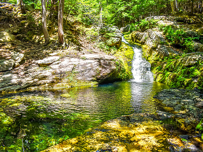 A fairy tale setting come to life. This hidden oasis in Stoneham is where woodland creatures probably gossip after hours.