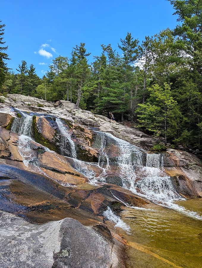 A cascade so picturesque, it looks Photoshopped. But trust us, Step Falls Preserve is 100% real and 200% awesome.