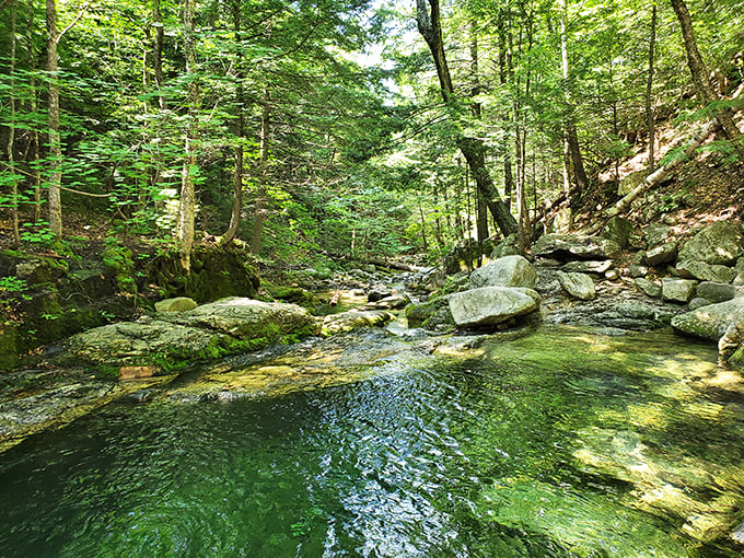 A hike with a delicious twist. Blueberry Mountain offers panoramic views and nature's own snack bar along the trail.