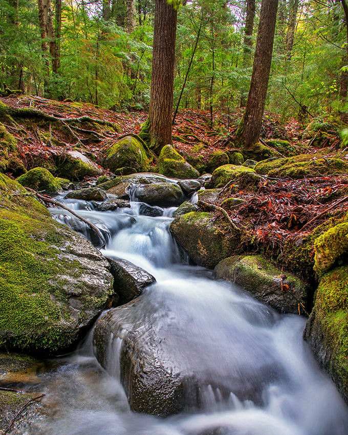 Nature's own symphony in Pleasant Ridge Plantation. The rushing water provides a soundtrack that beats any playlist.