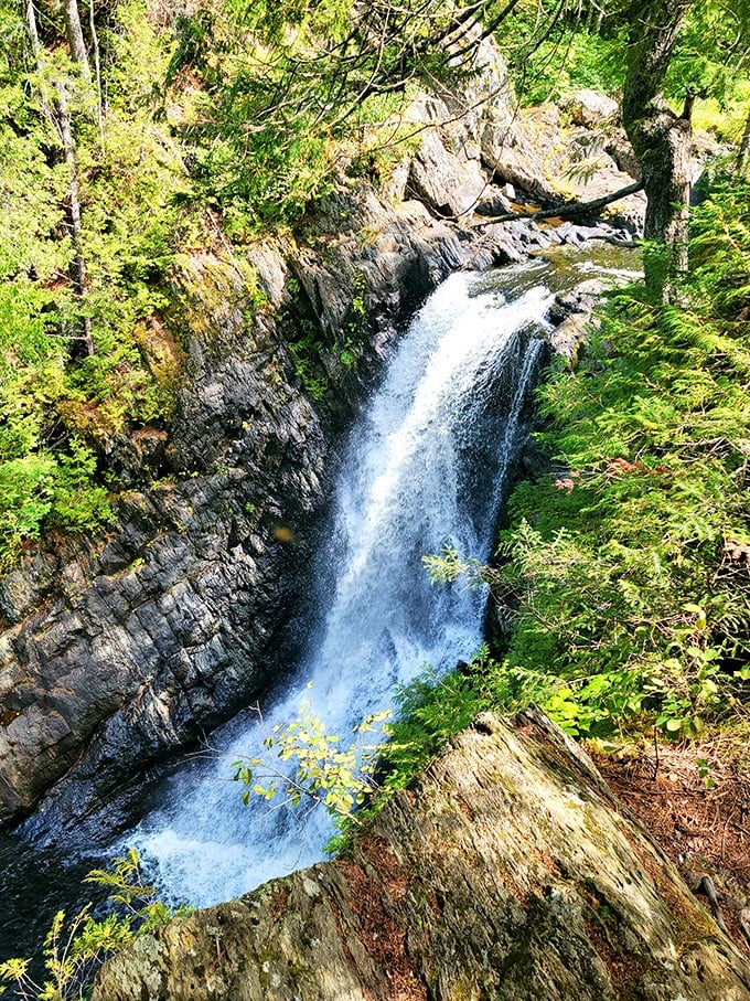 A waterfall so impressive, it deserves its own theme music. Moxie Falls is nature's way of showing off.