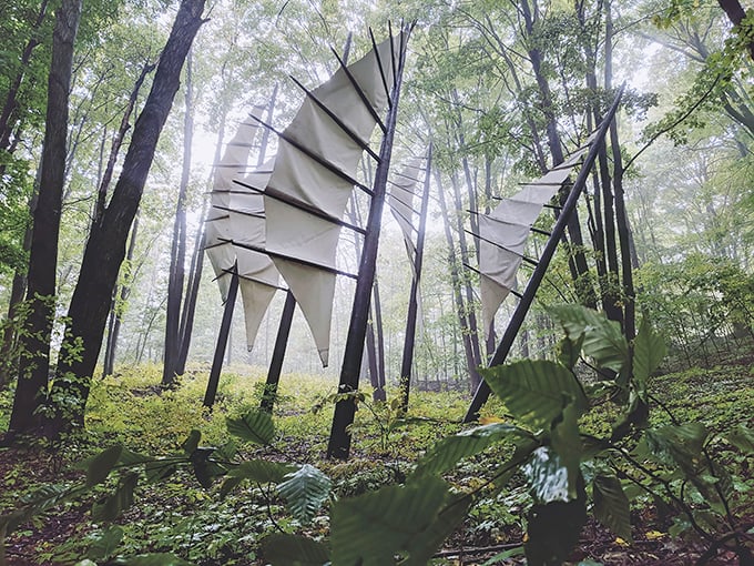 Forest bathing meets modern art! These metal wings at Michigan Legacy Art Park look ready to take flight through the misty woods.