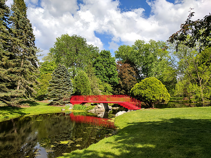 Red alert! Dow Gardens' bridge isn't just for crossing streams—it's for making your heart skip a beat with its vibrant hue.