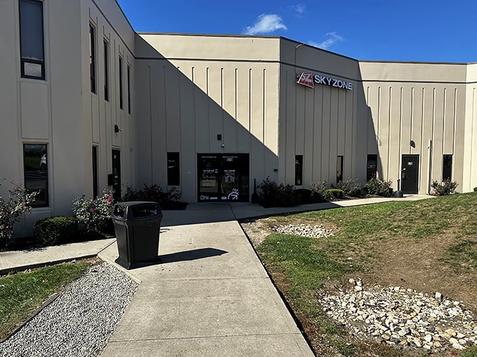 Sky Zone: Where the sky's the limit, and the floor is definitely not lava!