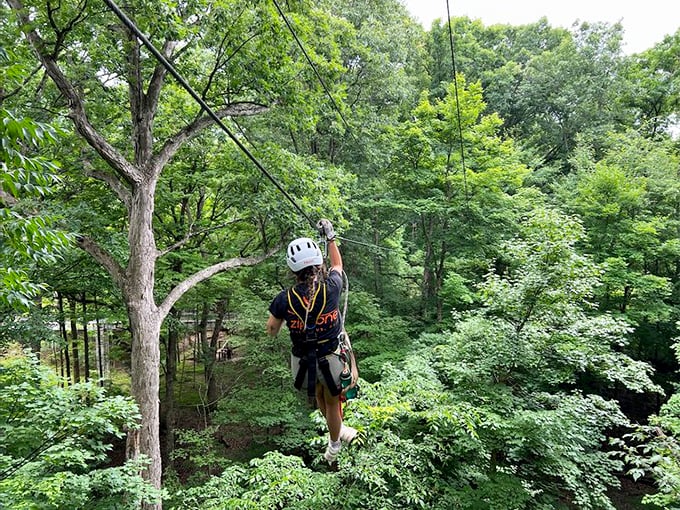 Who needs wings when you've got zip lines? Soar through the treetops at ZipZone!