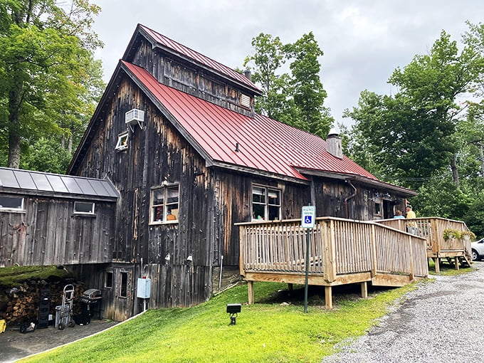 Maple Sugar & Vermont Spice: Where trees cry tears of joy, and those tears become syrup. It's nature's candy factory, and you've got the golden ticket!