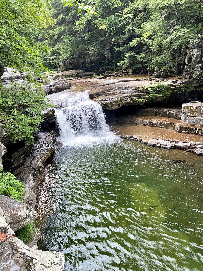 Swim behind a waterfall at Bartlett Falls. It's like being in a tropical vacation ad, but with more goosebumps.