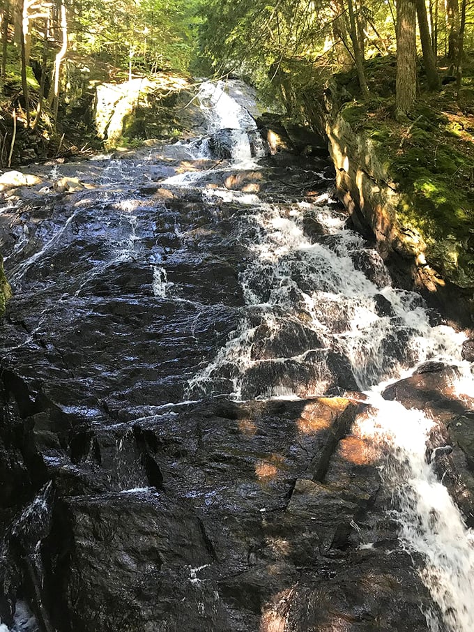 Thundering Brook Falls: The name oversells it, but the beauty doesn't disappoint. It's nature's own white noise machine.