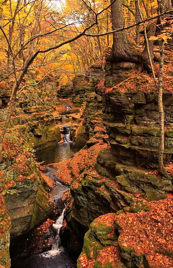 Hidden treasure alert! Parfrey's Glen's waterfall plays hard to get, but the journey is half the fun. Indiana Jones, eat your heart out!