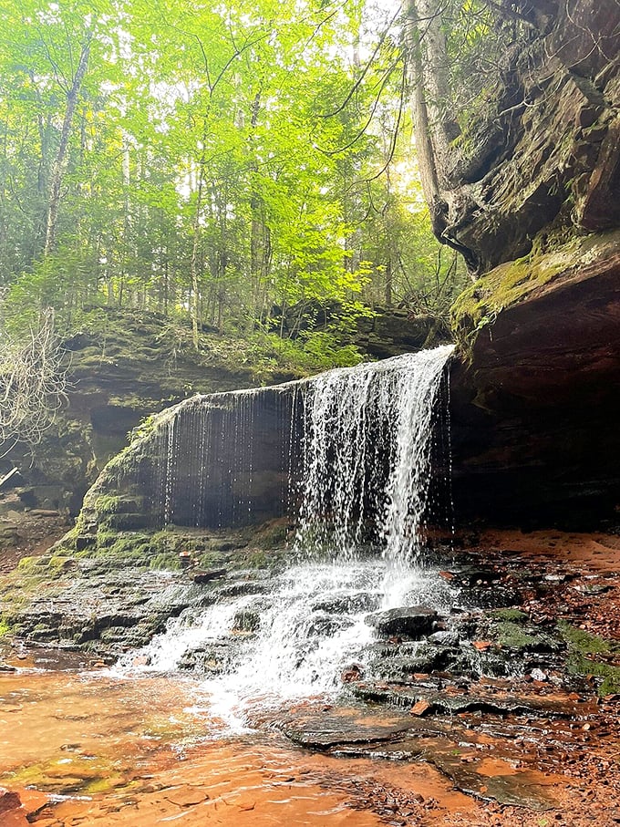 Lost Creek Falls: The reward at the end of a fairy tale forest hike. Cinderella's castle has nothing on this natural wonder.