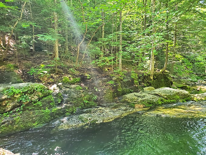 Forget the drive-thru – Blueberry Mountain offers farm-to-trail dining with a side of breathtaking views.