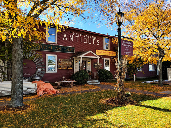 Leaves aren't the only things changing colors here. Five Corners Antiques: Where every season brings new old treasures!