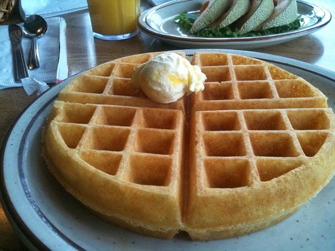 Waffle perfection: Golden, crisp, and ready for its syrupy close-up. Is it breakfast? Is it dessert? Who cares – it's delicious!