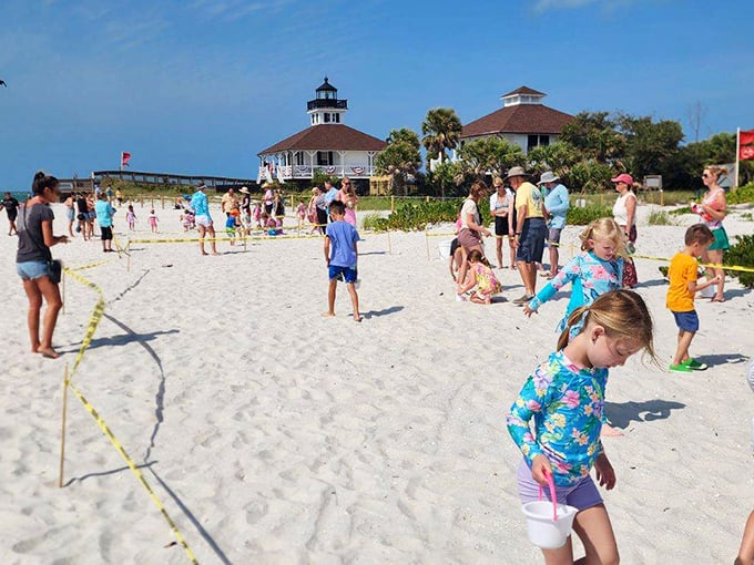 Sun, sand, and smiles! Families flock to this beach for a dose of vitamin sea and lighthouse spotting.